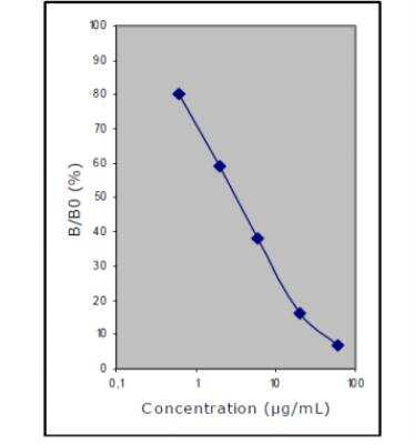 ELISA: Glutamate ELISA Kit (Colorimetric) [KA1909]